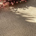 Tapeta-PAPIER-DESIGN-GBA70-027_