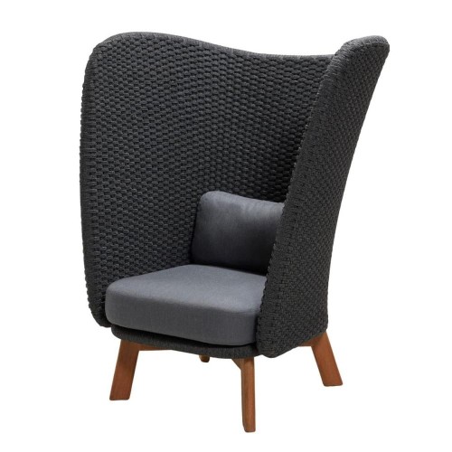 PEACOCK Ropre fotel WING 5460RODGT_YSN95